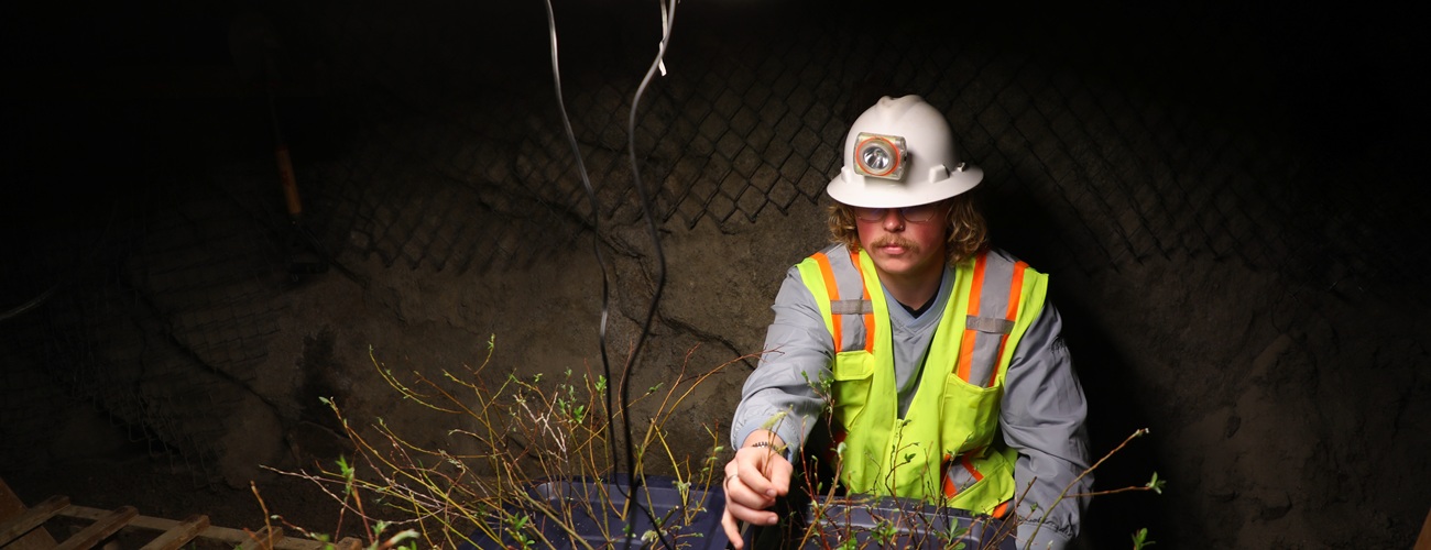 Johannes Chandler works in the underground greenhouse of the UMEC