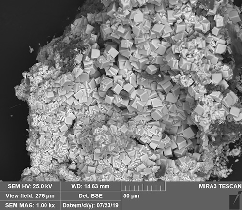 CAMP SEM photograph of philsbornite, a rare arsenate mineral from the Centenario mine, Sierra Mojada mining district, Estado Coahuila, Mexico, collected by Stanley Korzeb. Permission to use courtesy of Montana Bureau of Mines & Geology.