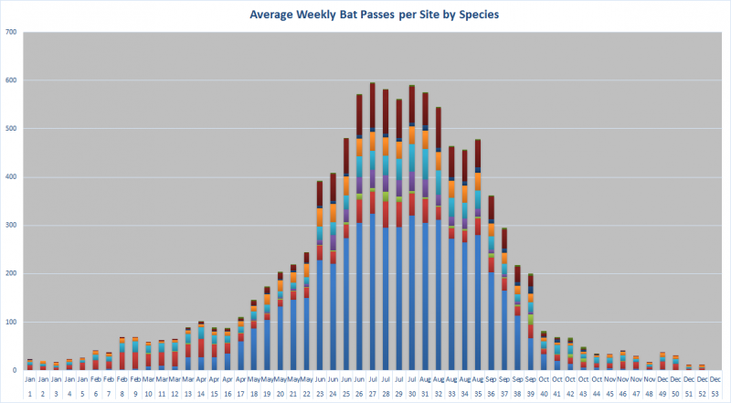 Chart displaying average weekly bat passes per site by species
