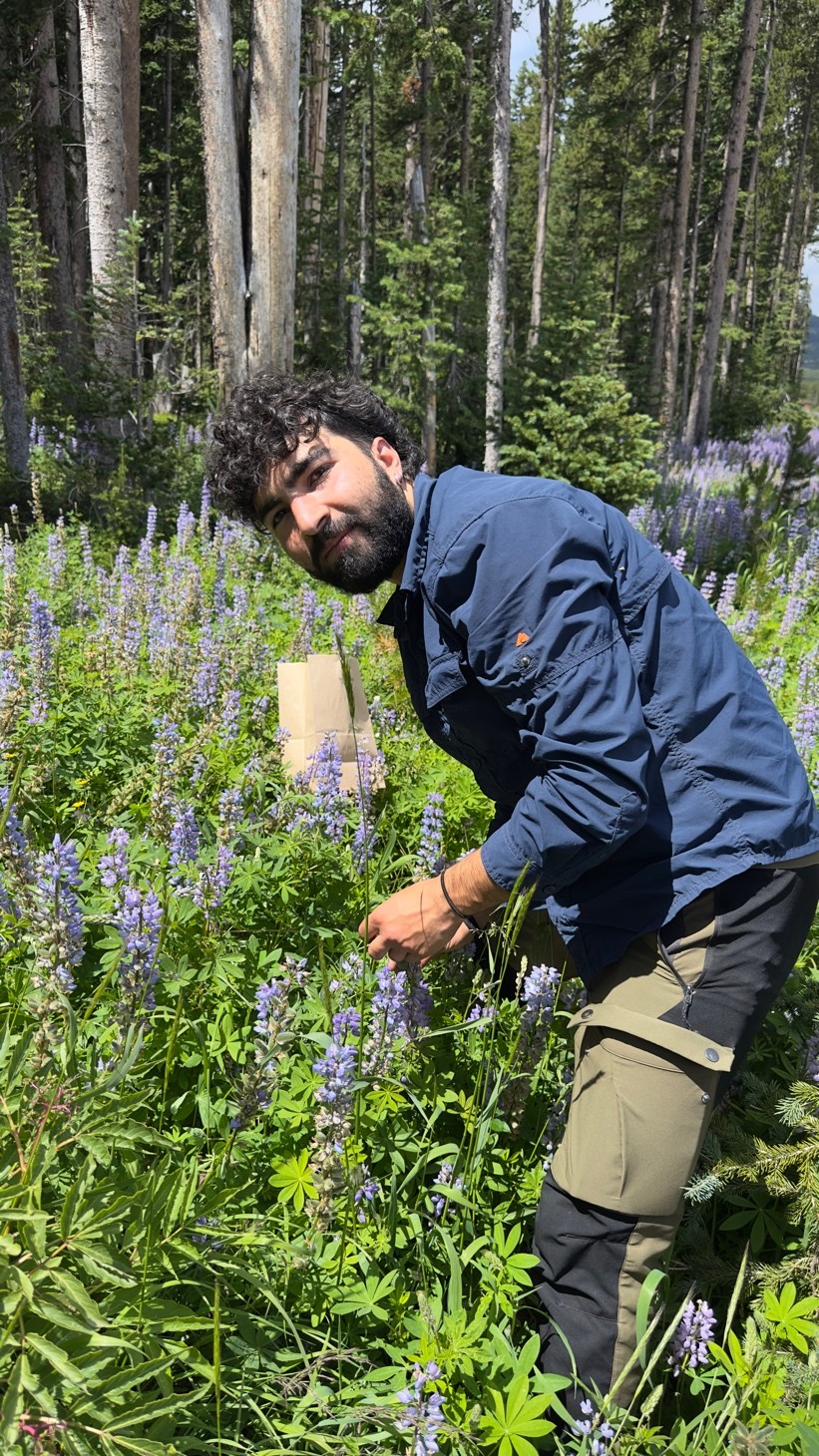 Ciullo working on research with Dr. Pal